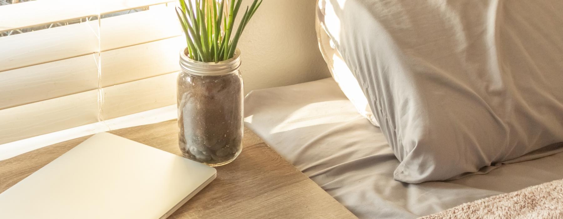a vase with a plant on a table